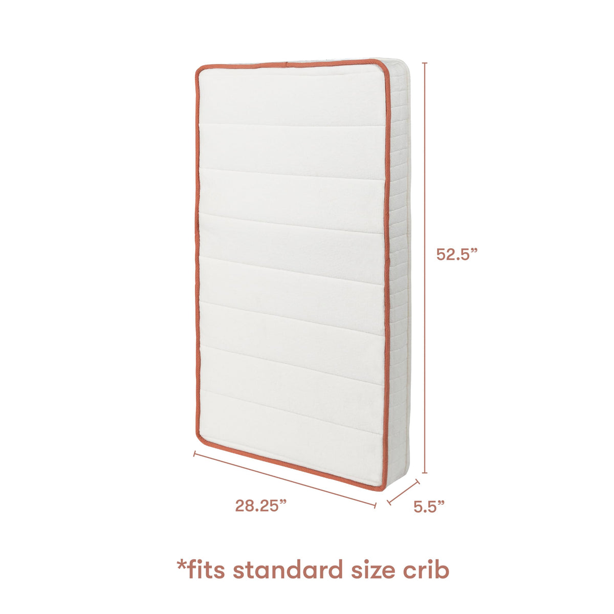 Organic Crib Mattress S640