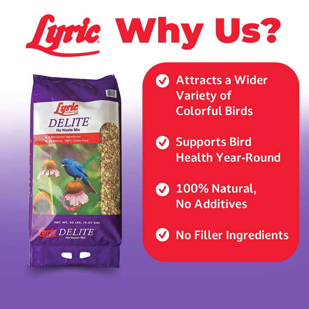 Wild Bird Seed, 20 lb Bag A4561