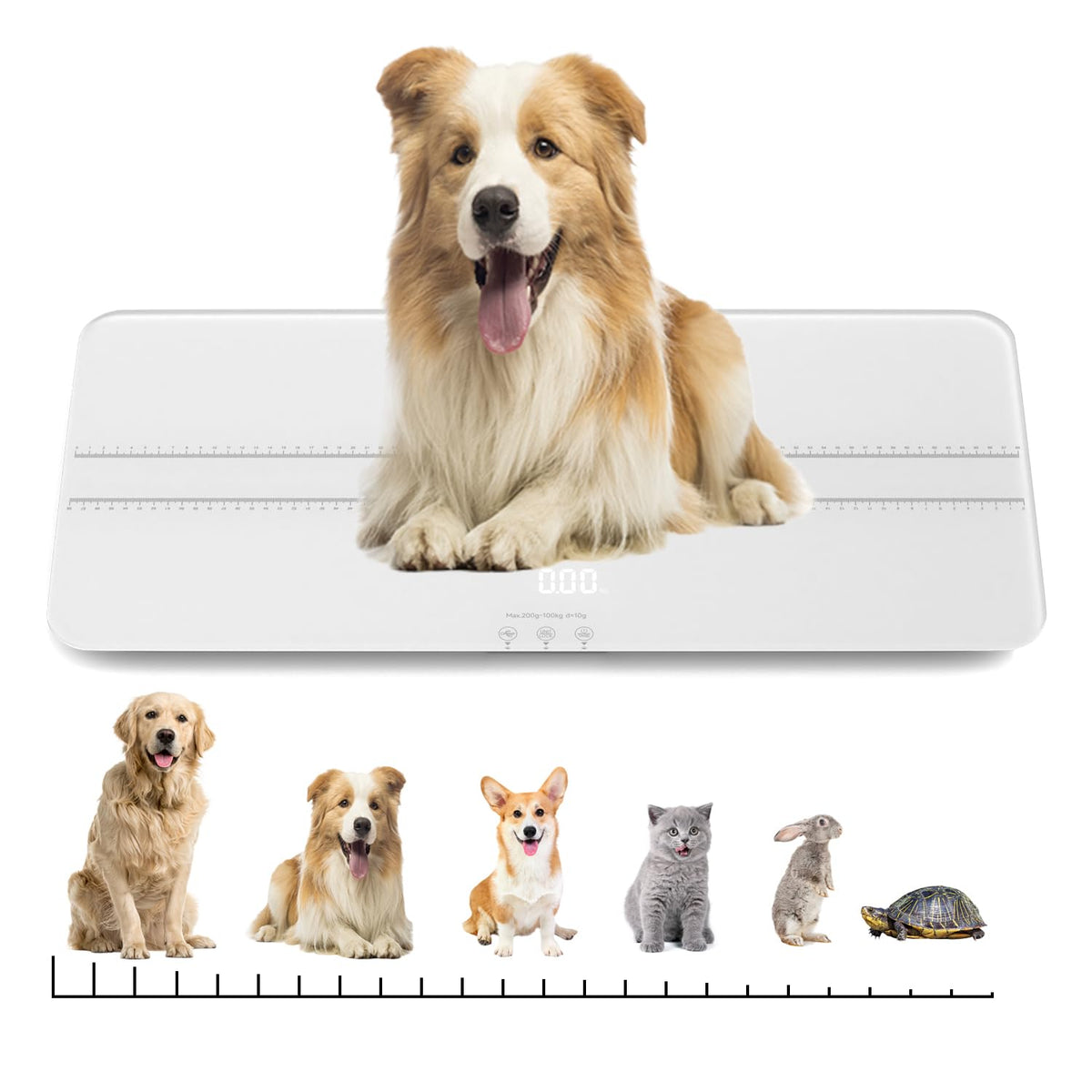 Digital Pet Scale, Baby Scale White X77653