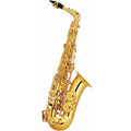 Alto Saxophone Set D43172
