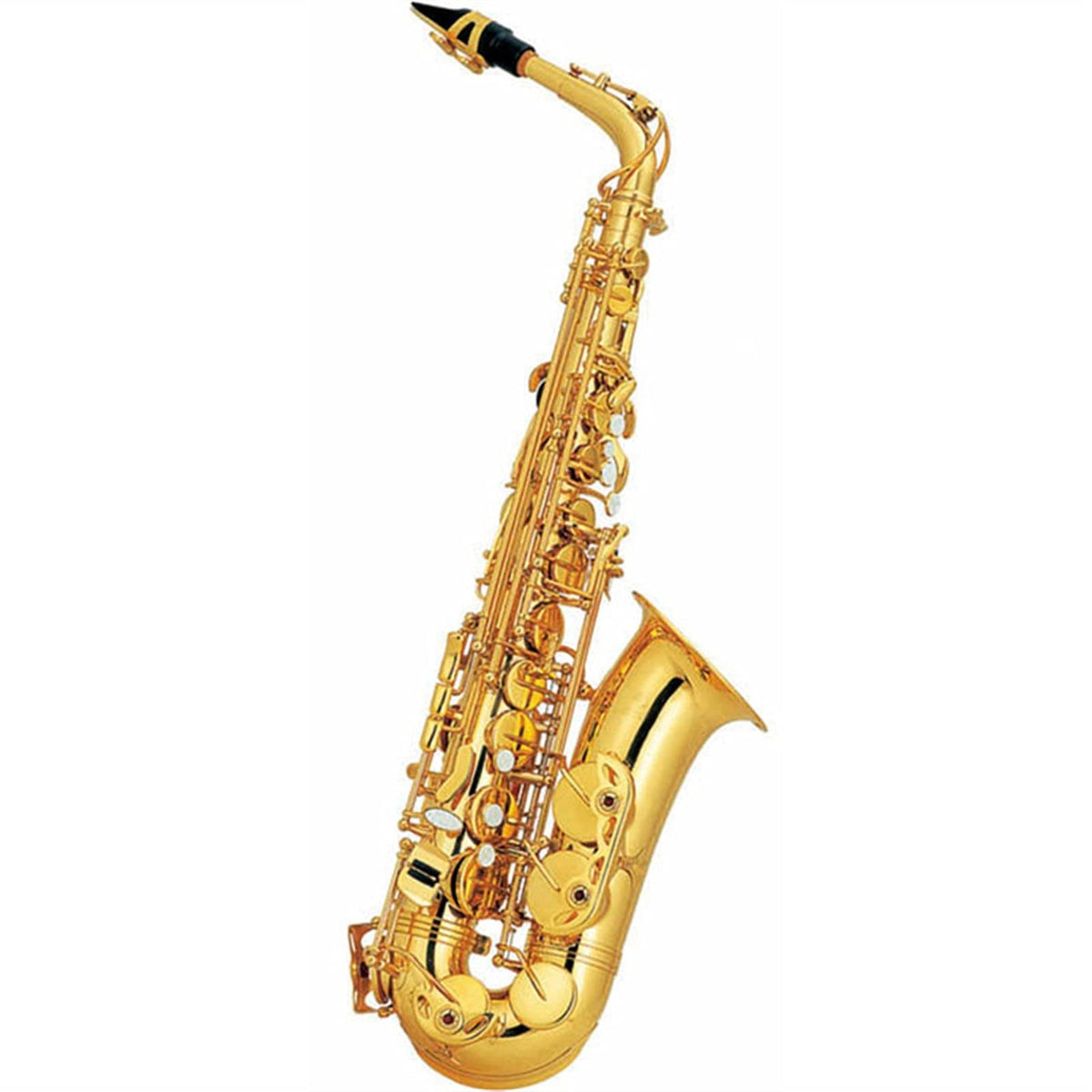 Alto Saxophone Set D43172