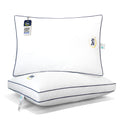Queen Size Set of 2 Bed Pillows Z3404