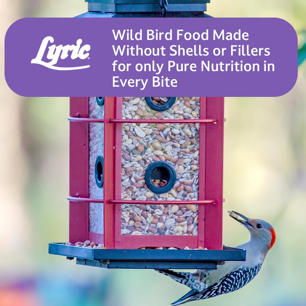 Wild Bird Seed, 20 lb Bag A4561