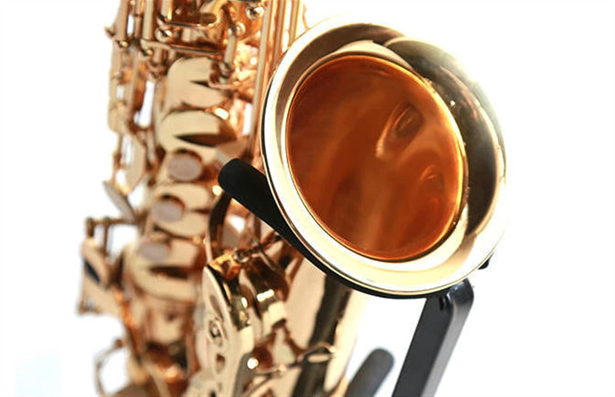 Alto Saxophone Set D43172