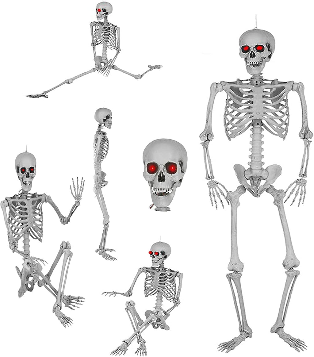 5.4ft Full Body Skeleton with Movable Joints M25782