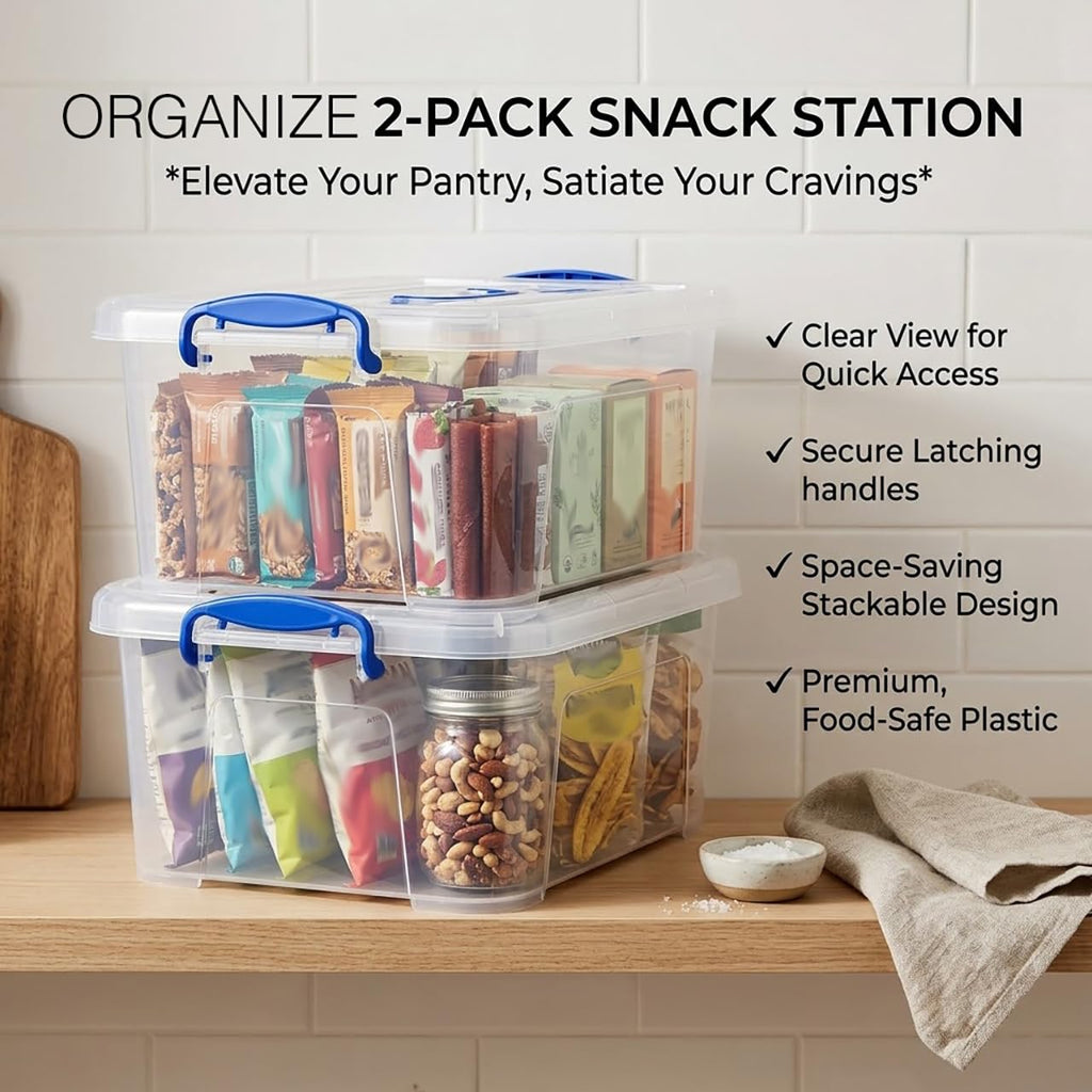 Clear 9 Quart Storage Bins with Lids 2 Pack E780