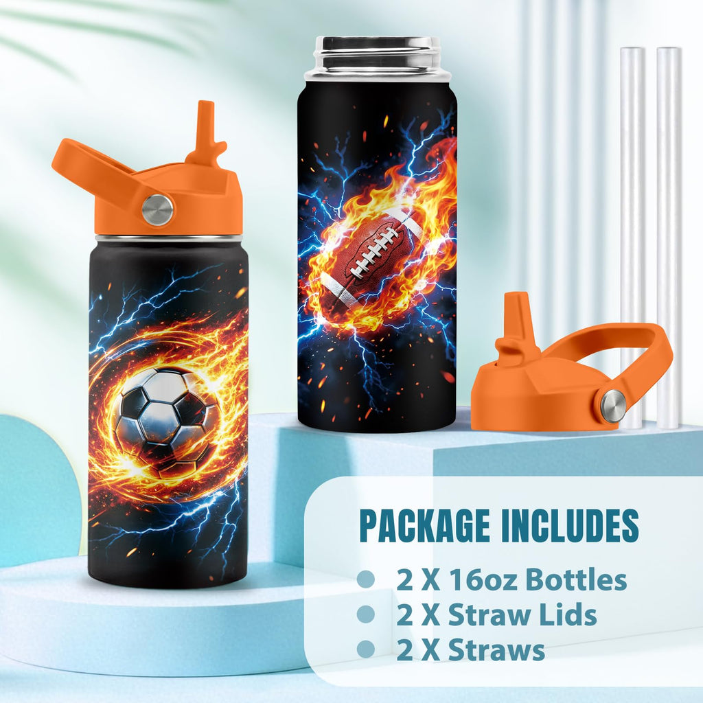 16 oz Stainless Steel Insulated Water Bottle with Straw Lid, 2 Pack W132601