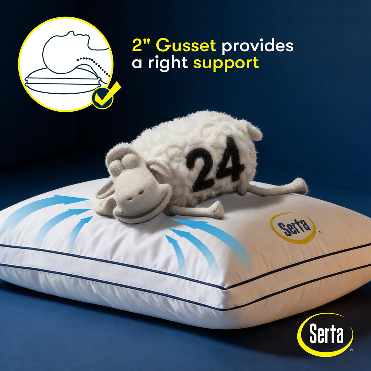 Queen Size Set of 2 Bed Pillows Z3404