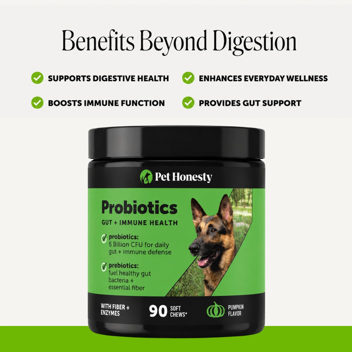 Dog Probiotics Chews 90ct Pumpkin P2620