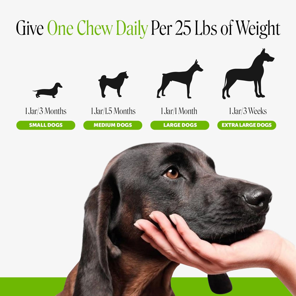 Dog Probiotics Chews 90ct Pumpkin P2620