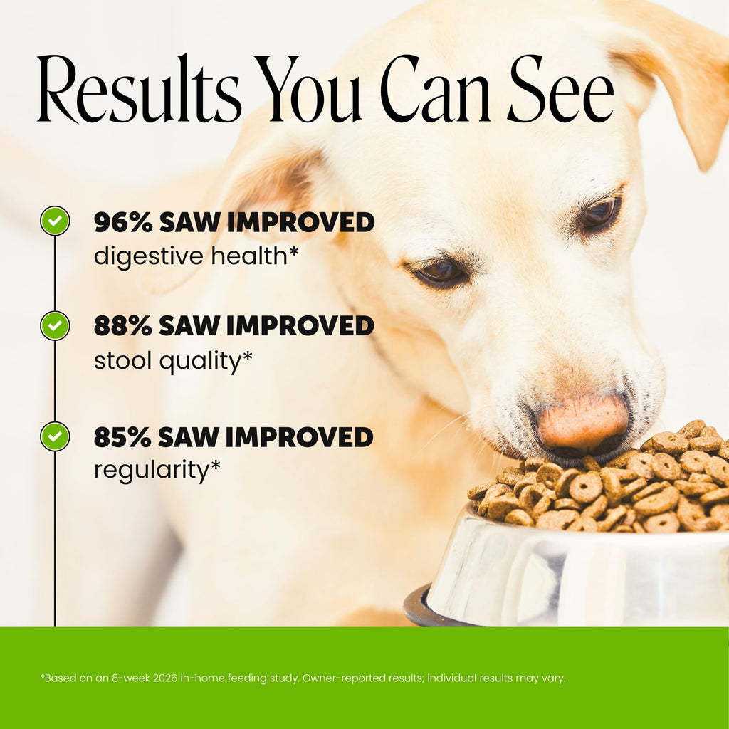 Dog Probiotics Chews 90ct Pumpkin P2620