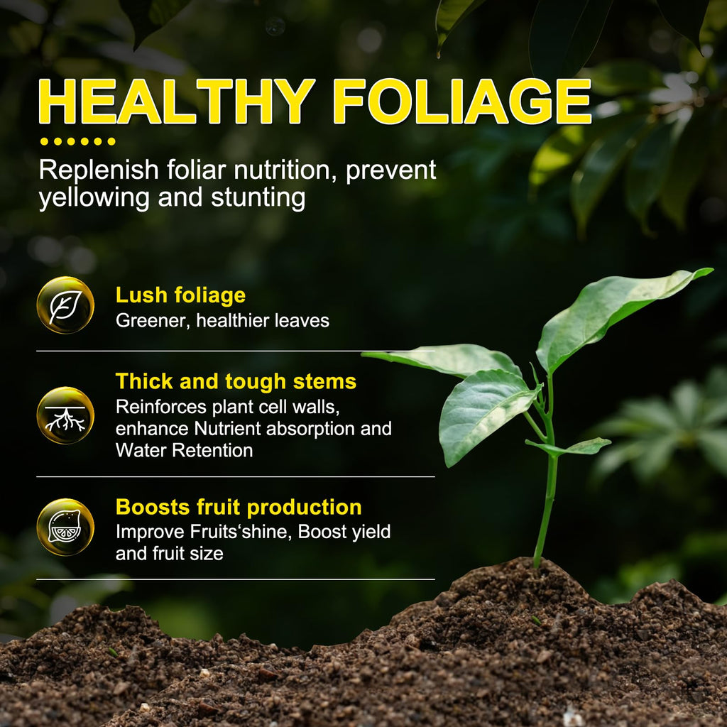 Liquid Fertilizer with Organic Micro-Nutrient Z429934