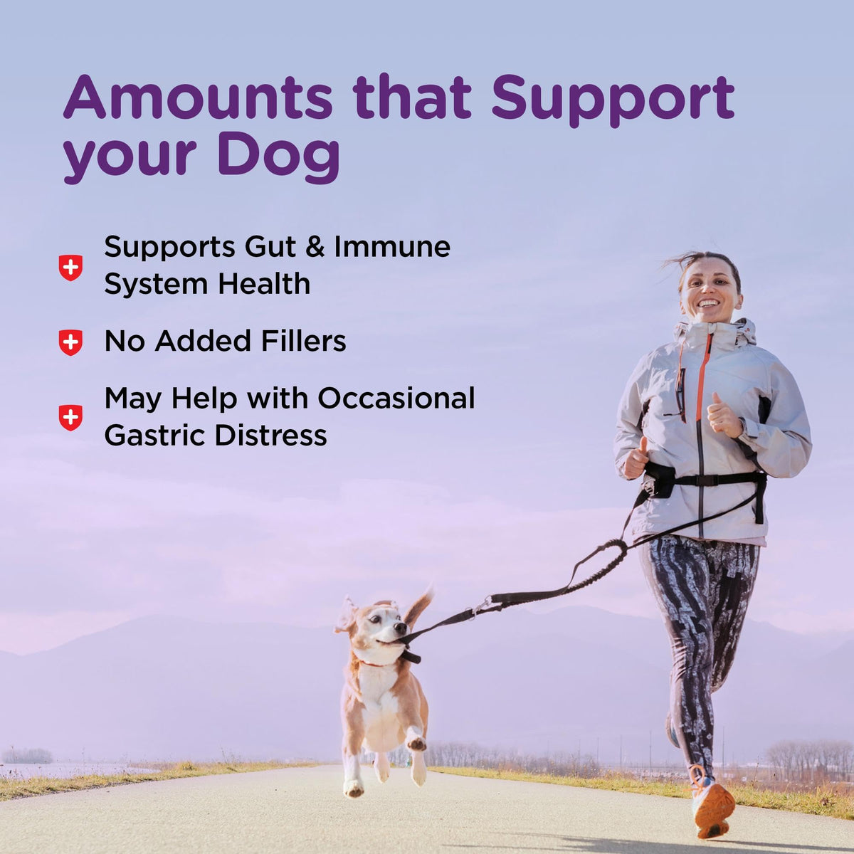 Dog Bladder Control 90 Tablets W873