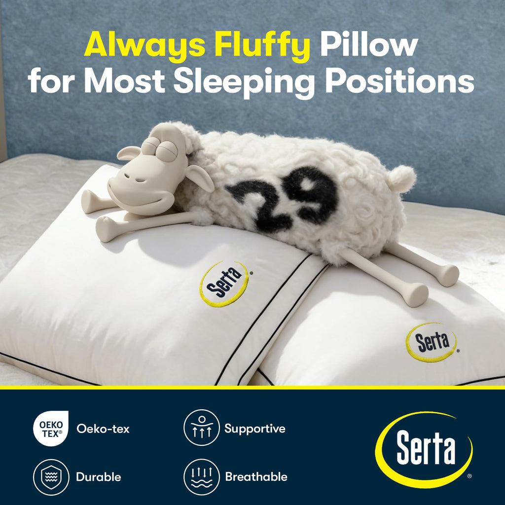 Queen Size Set of 2 Bed Pillows Z3404