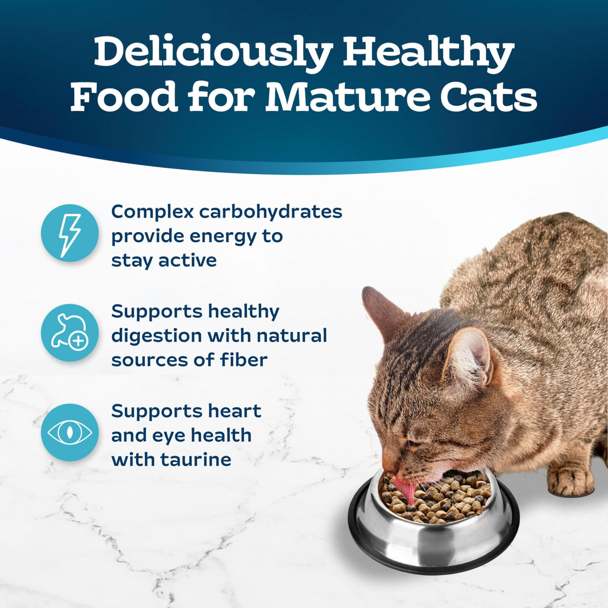 Chicken & Brown Rice Senior Dry Cat Food, 3 lb A901