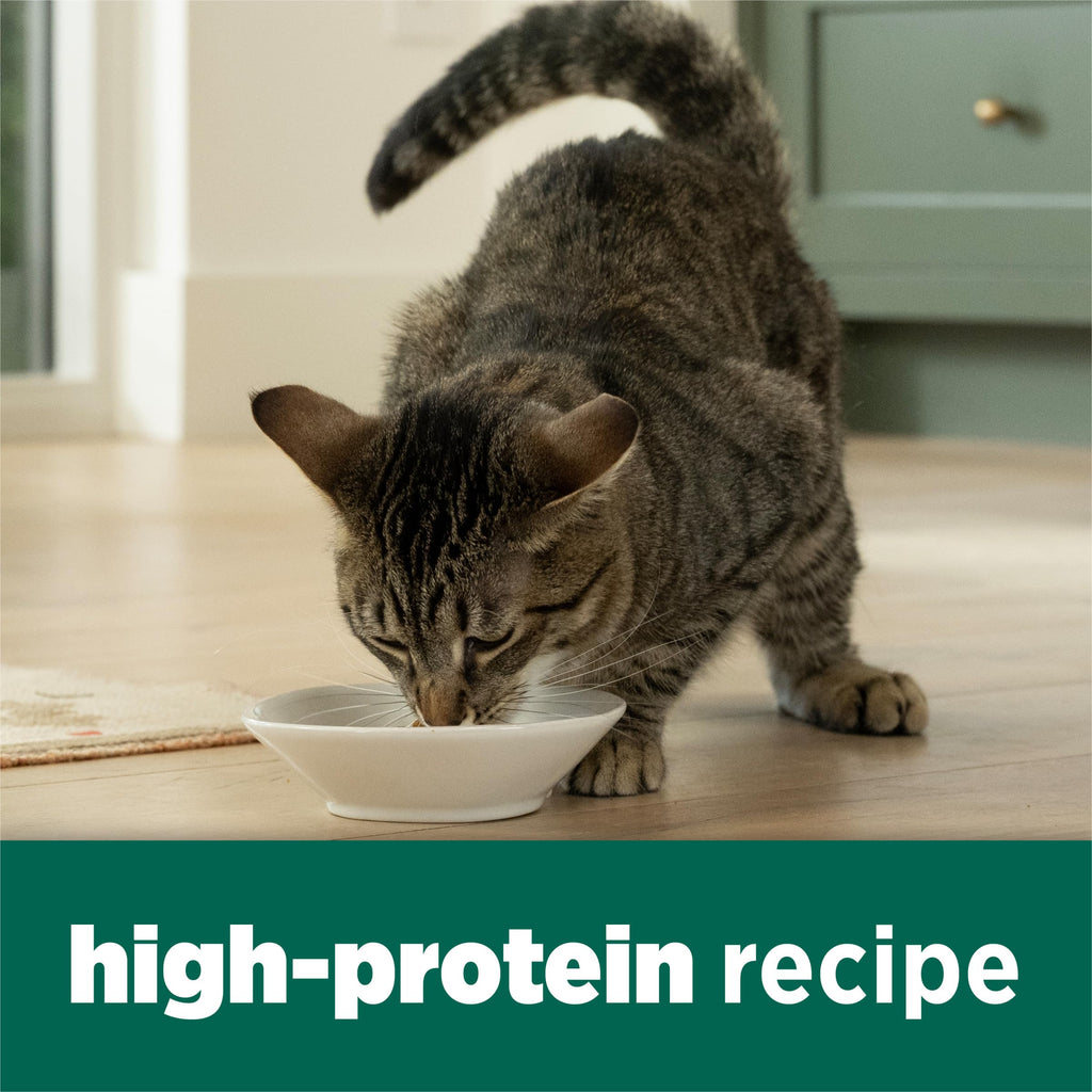 High Protein Dry Cat Food with Vitamins and Minerals 35 lb Bag X25989