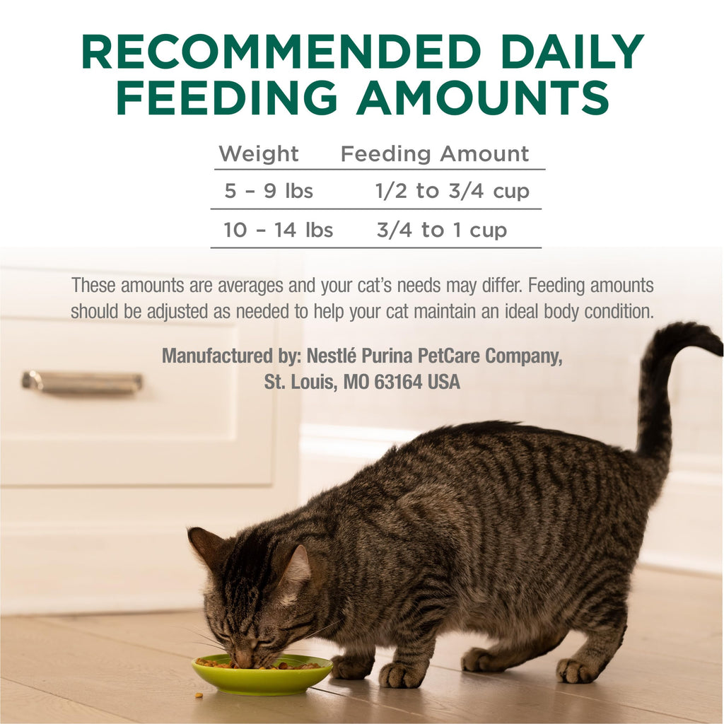 High Protein Dry Cat Food with Vitamins and Minerals 35 lb Bag X25989