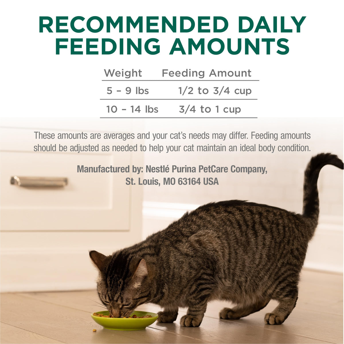 High Protein Dry Cat Food with Vitamins and Minerals 35 lb Bag X25989