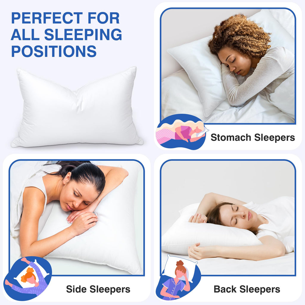 King Size Down Pillows Set of 2 I58442
