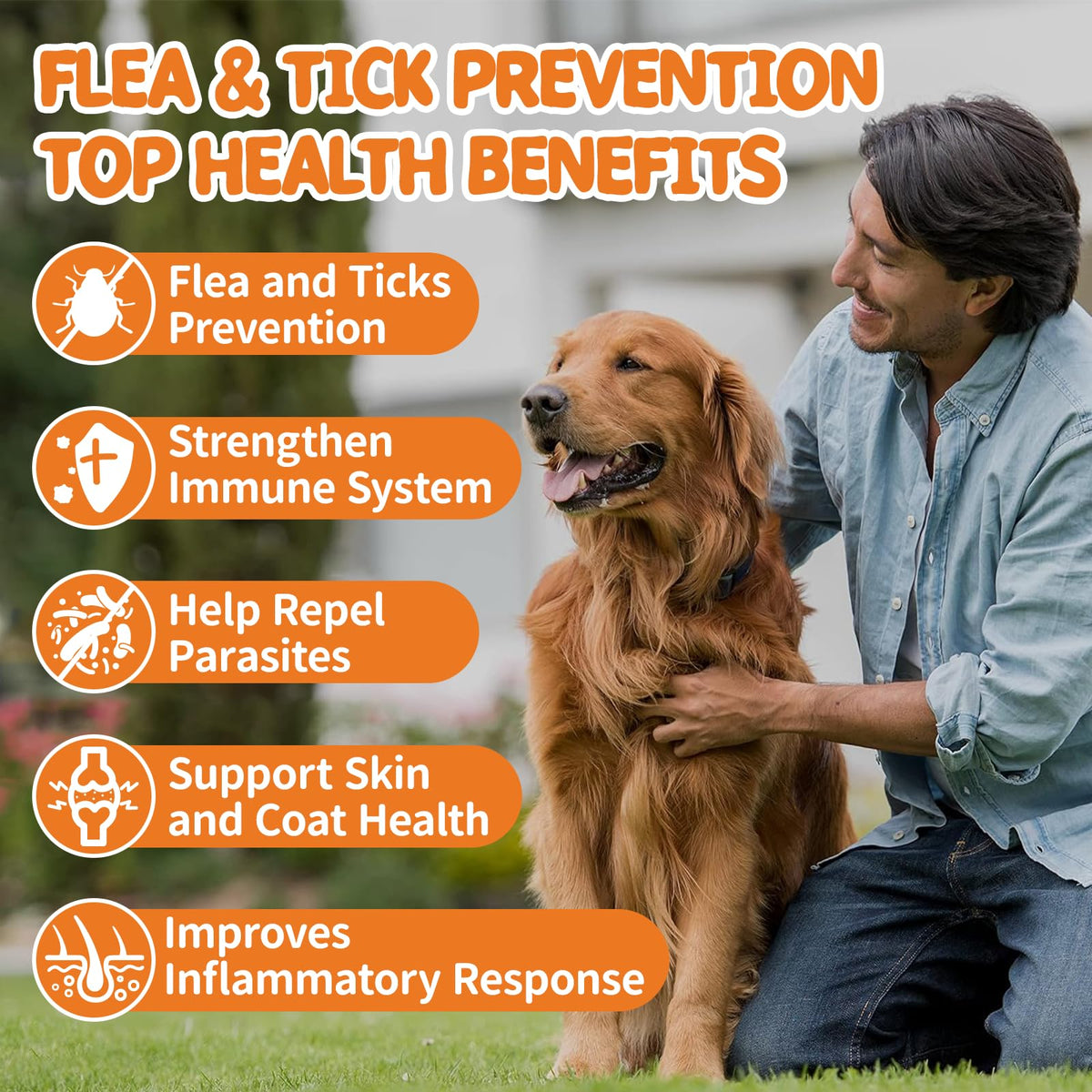 Natural Dog Flea and Tick Chewables 60 Soft Chews I445985
