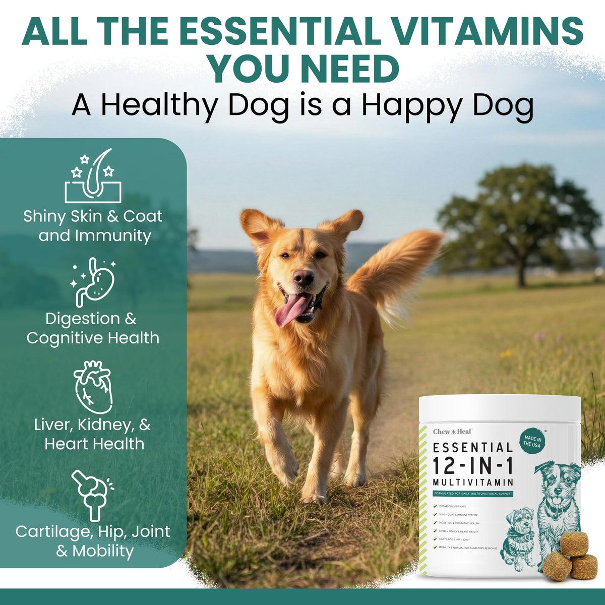 Dog Vitamin and Supplement Chews, 120 Ct W7609
