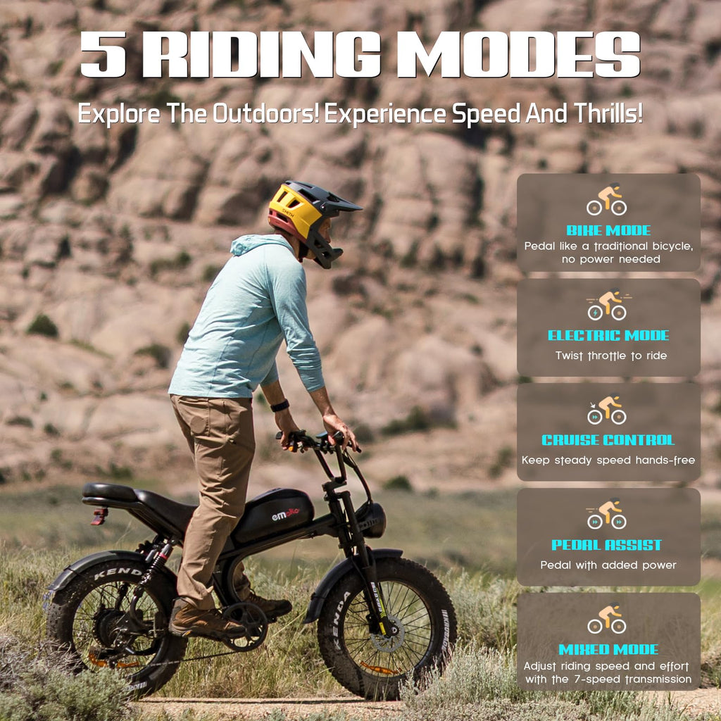 Peak 1500W 48V 20Ah 20'' Fat Tire 7-Speed Electric Bike Q750