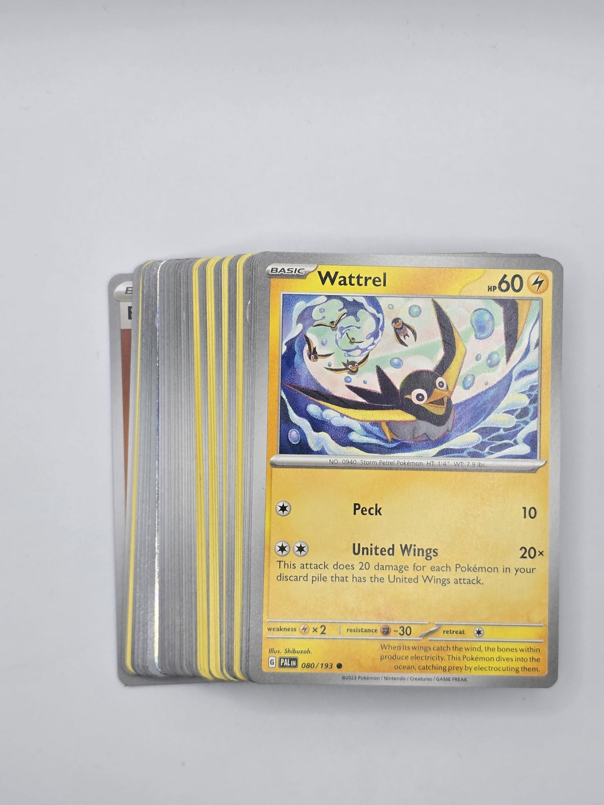 Pokemon TCG Random Cards 50 Cards T353