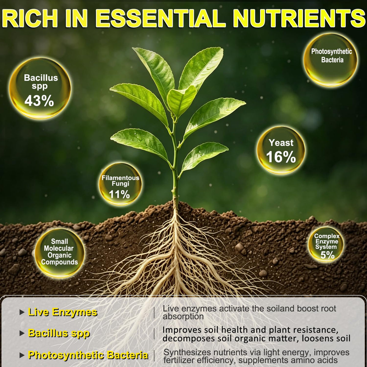 Liquid Fertilizer with Organic Micro-Nutrient Z429934