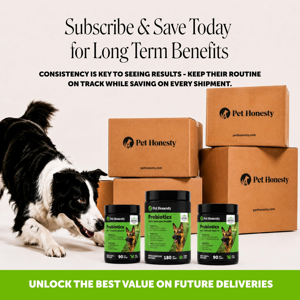 Dog Probiotics Chews 90ct Pumpkin P2620