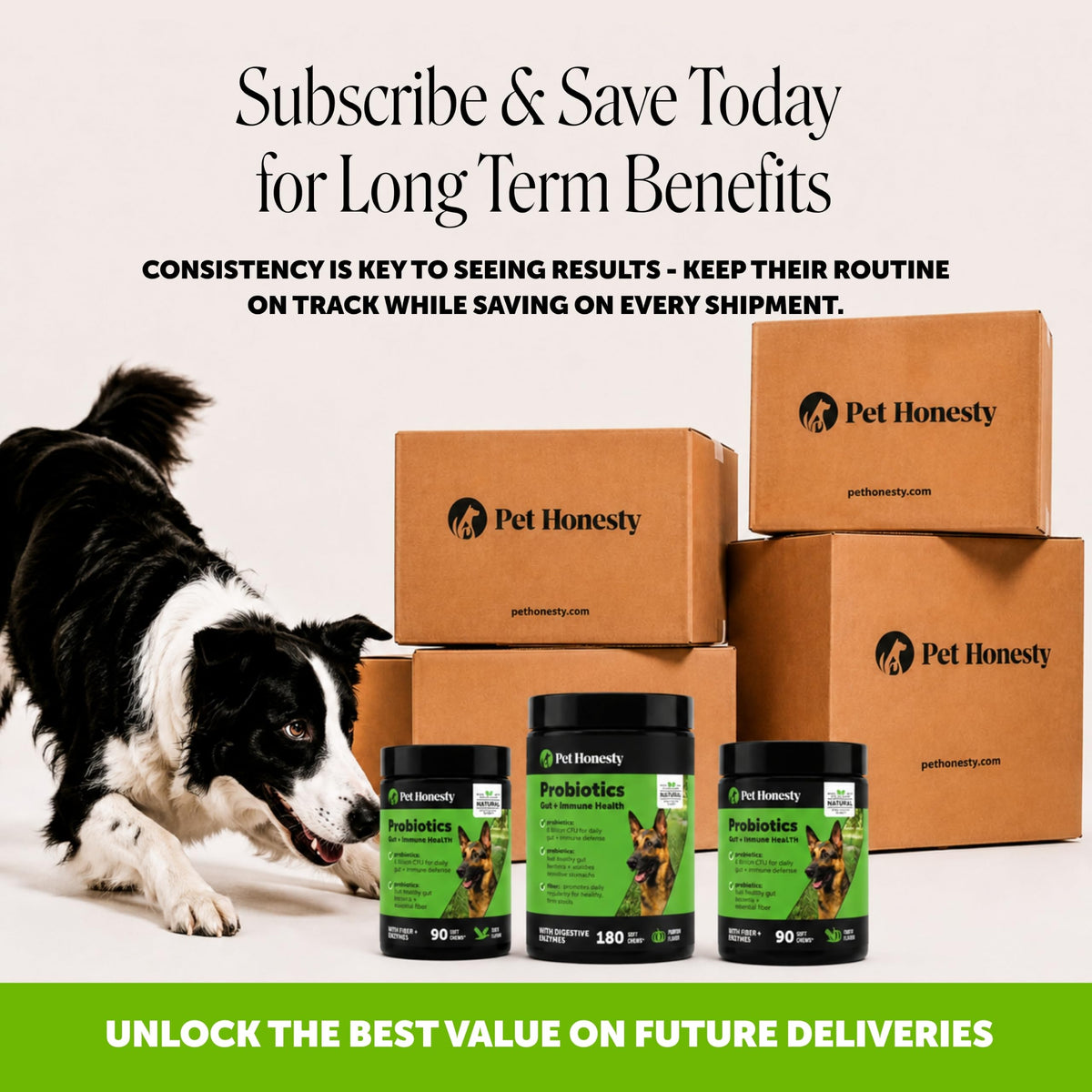Dog Probiotics Chews 90ct Pumpkin P2620