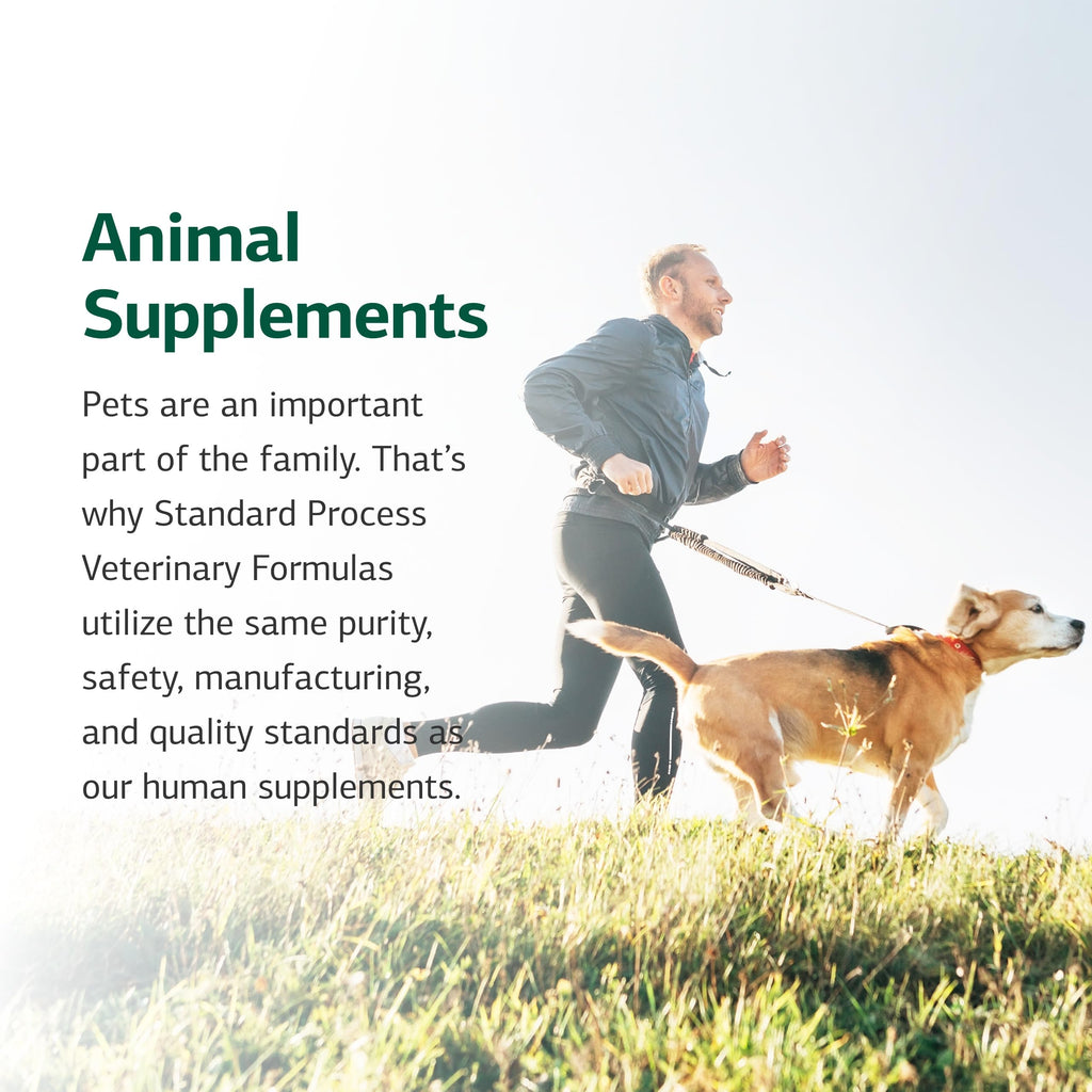 Canine Cardiac Support 25 g A6628