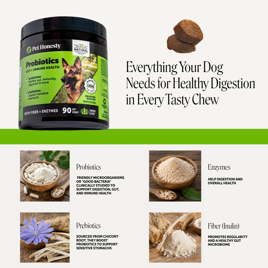 Dog Probiotics Chews 90ct Pumpkin P2620
