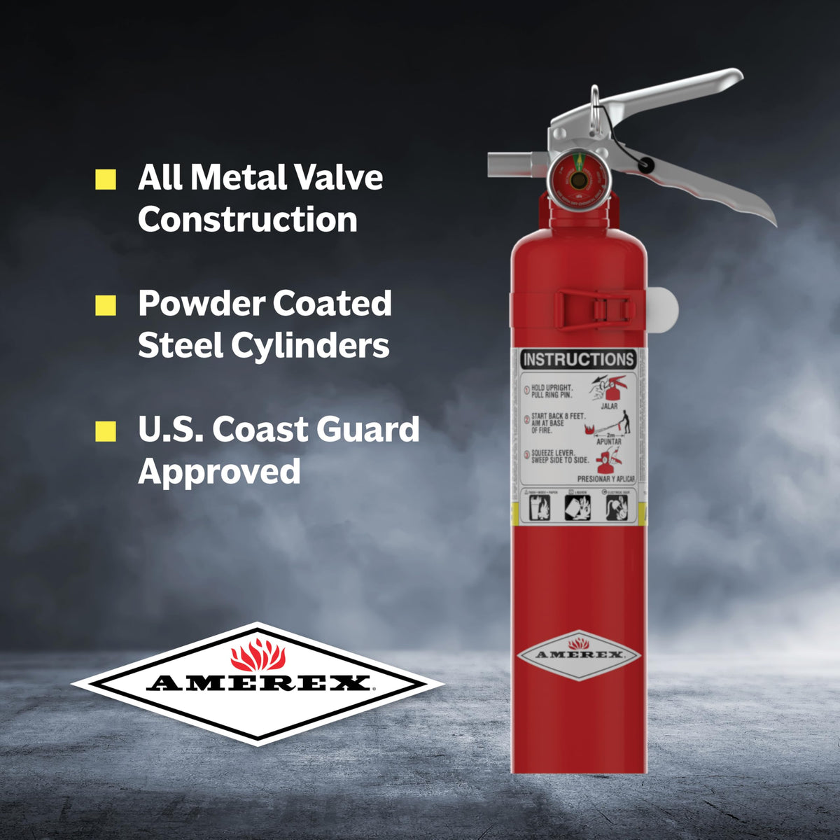 2.5 lb. ABC Dry Chemical Fire Extinguisher with Wall Bracket, 2 Pack Y60254