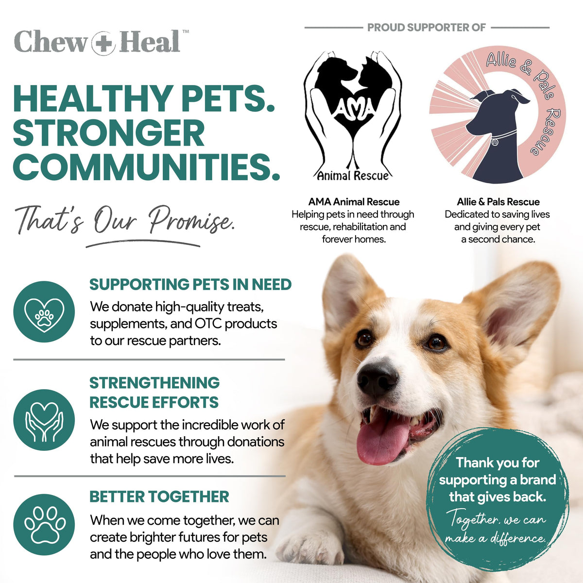 Dog Vitamin and Supplement Chews, 120 Ct W7609