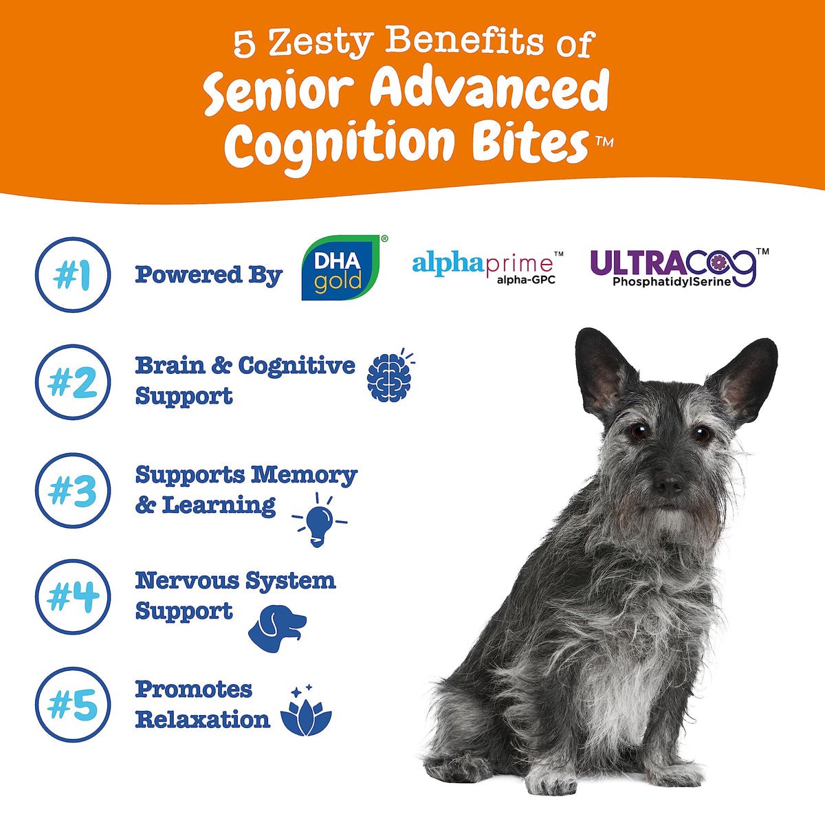 Senior Dog Supplement Cognition Chews Chicken 90 Ct V753