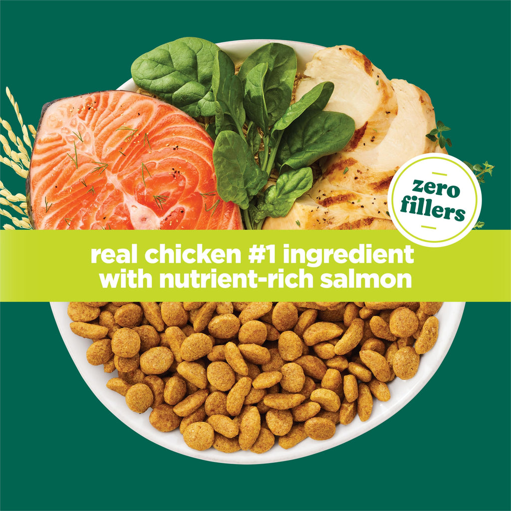 High Protein Dry Cat Food with Vitamins and Minerals 35 lb Bag X25989
