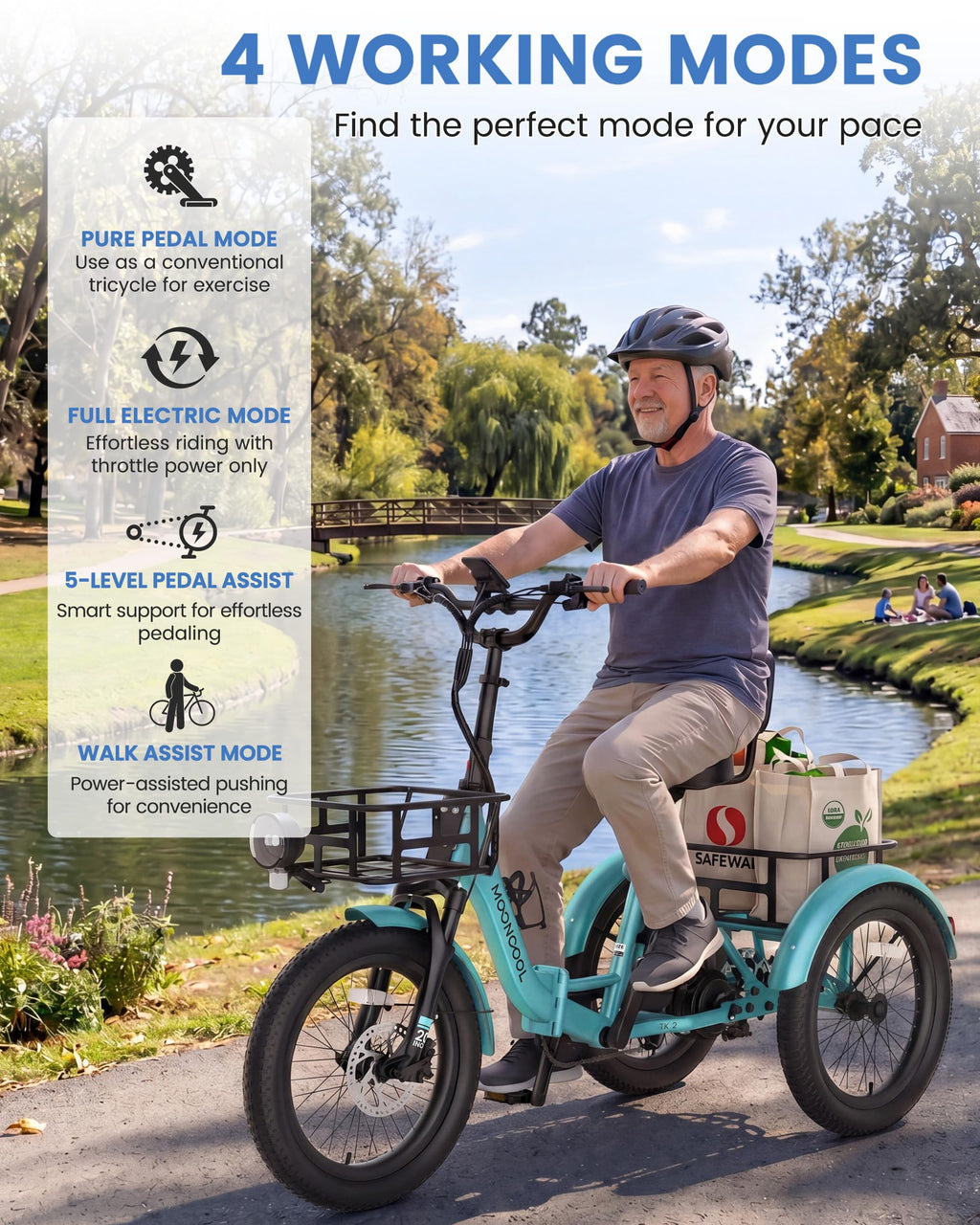 Electric Tricycle for Adults, 500W 20" Fat Tire Folding Trike O50018